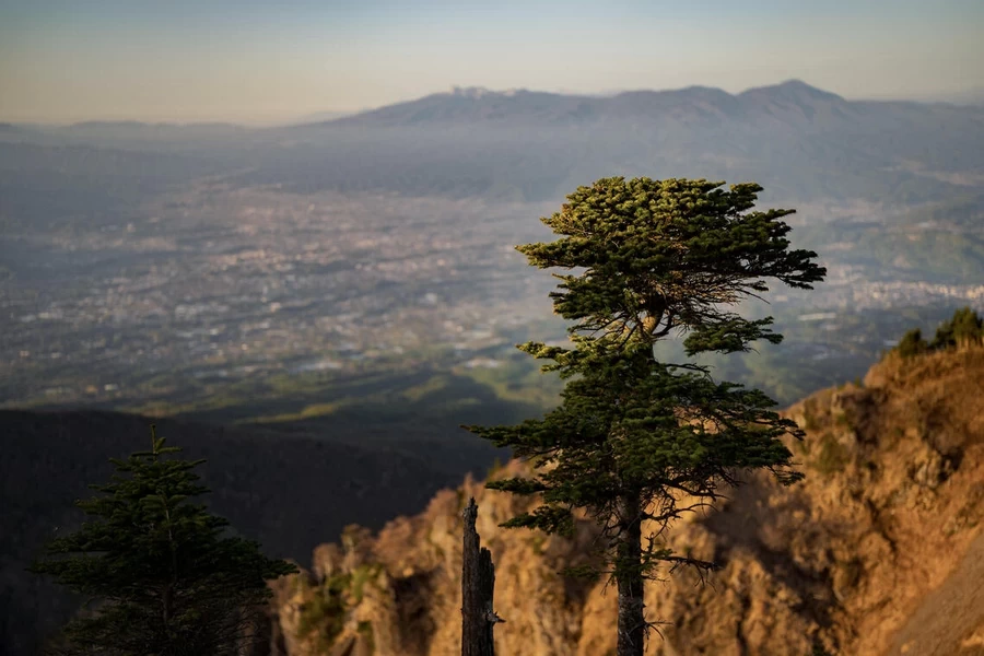 Sigma 28-45mm f/1.8 DG DN (A) Lens by  in  - EC MALL