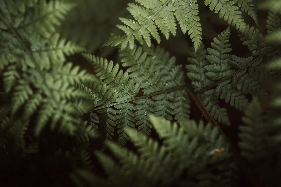 Sigma 28-45mm f/1.8 DG DN (A) Lens by  in  - EC MALL