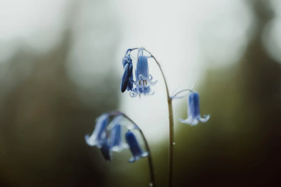 Sigma 28-45mm f/1.8 DG DN (A) Lens by  in  - EC MALL