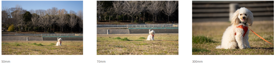 Tamron 50-300mm f/4.5-6.3 Di III VC VXD by  in  - EC MALL