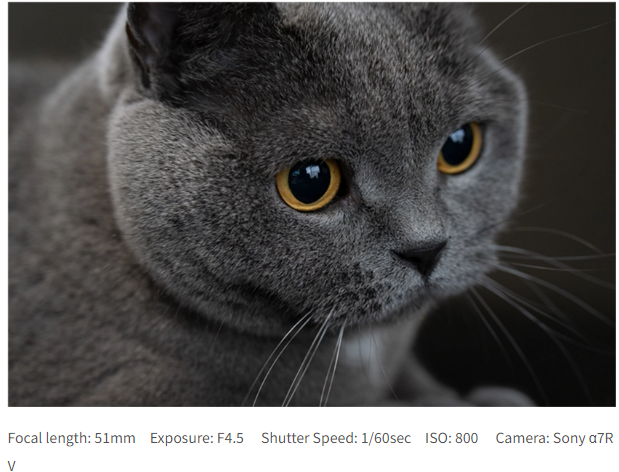 Tamron 50-300mm f/4.5-6.3 Di III VC VXD by  in  - EC MALL