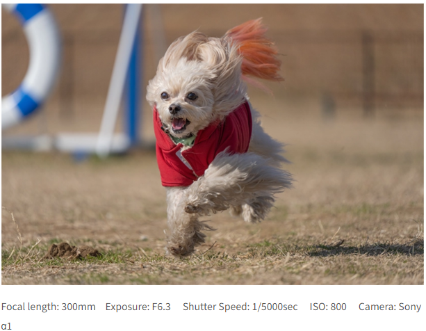 Tamron 50-300mm f/4.5-6.3 Di III VC VXD by  in  - EC MALL