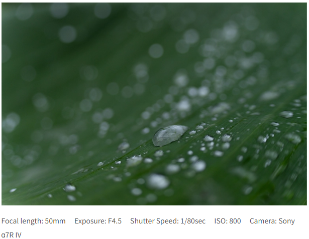 Tamron 50-300mm f/4.5-6.3 Di III VC VXD by  in  - EC MALL