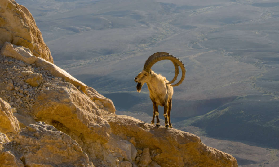 Kodak Pixpro WPZ2 Digital Camera by  in  - EC MALL