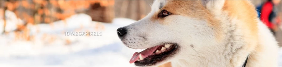 Kodak Pixpro FZ45 Digital Camera by  in  - EC MALL