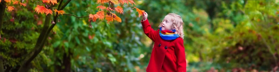 Kodak Pixpro FZ45 Digital Camera by  in  - EC MALL