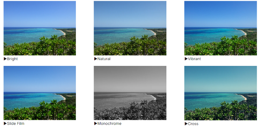 Pentax WG-90 Water Proof Digital Camera by  in  - EC MALL