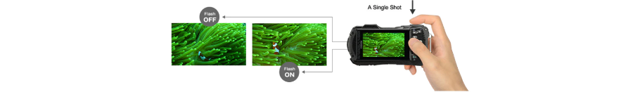 Pentax WG-90 Water Proof Digital Camera by  in  - EC MALL