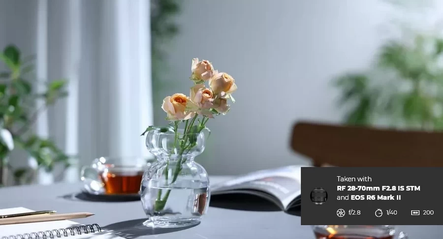 Canon RF 28-70mm f/2.8 IS STM Lens by  in  - EC MALL