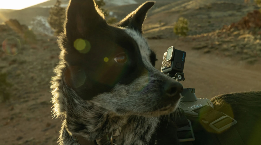 GoPro HERO 4K Vlogging Set Action Camera by  in  - EC MALL