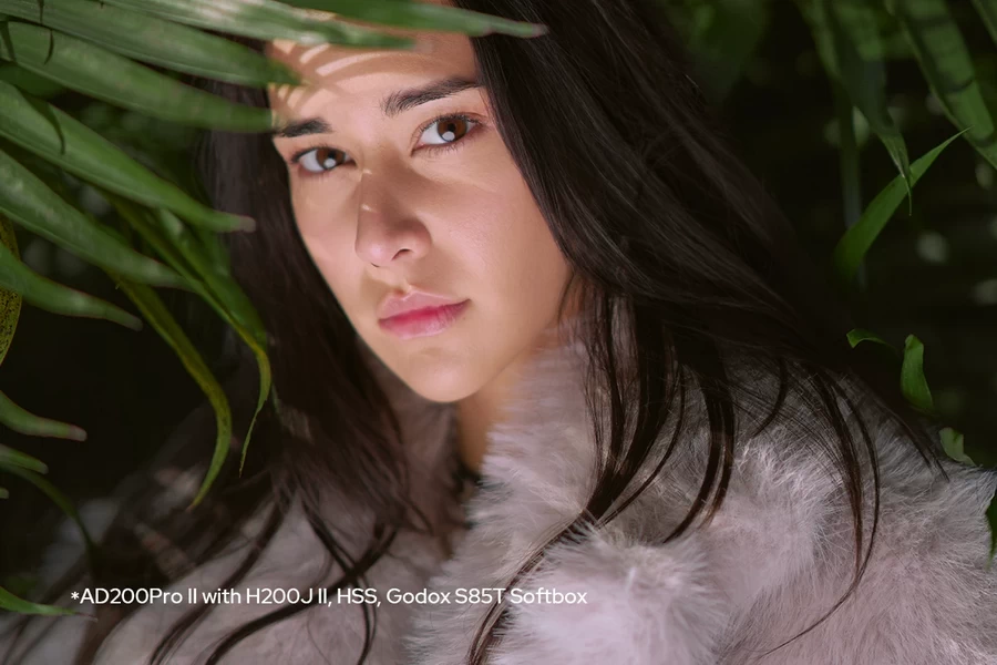 Godox AD200 Pro II Pocket Flash by in - EC MALL