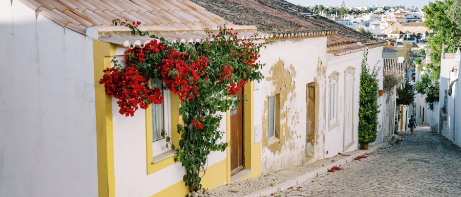 Nikon NIKKOR Z 50mm f/1.4 Lens by  in  - EC MALL