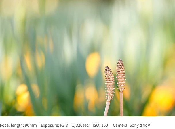 Tamron 90mm f/2.8 Di III VXD Macro Lens (Model F072) by  in  - EC MALL