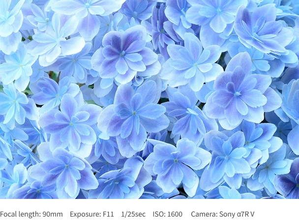 Tamron 90mm f/2.8 Di III VXD Macro Lens (Model F072) by  in  - EC MALL