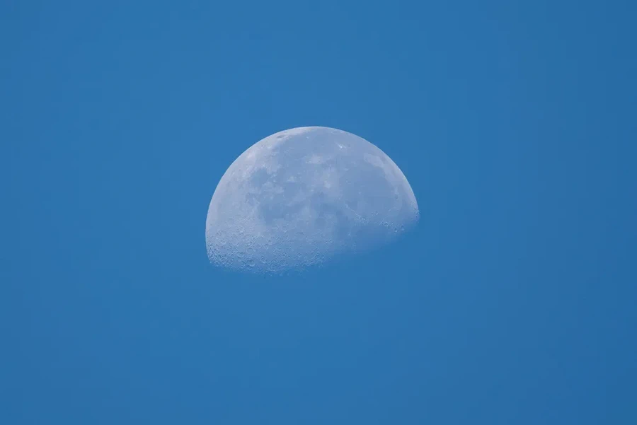 Fujifilm Fujinon XF 500mm f/5.6 R LM OIS WR Lens by  in  - EC MALL