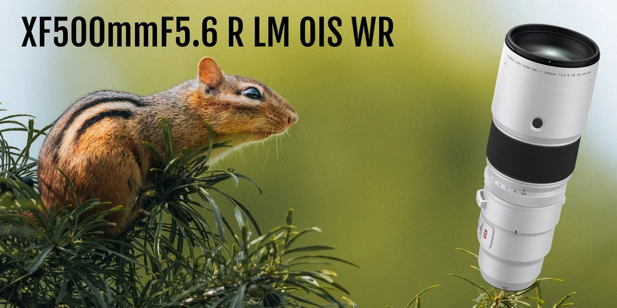 Fujifilm Fujinon XF 500mm f/5.6 R LM OIS WR Lens by  in  - EC MALL