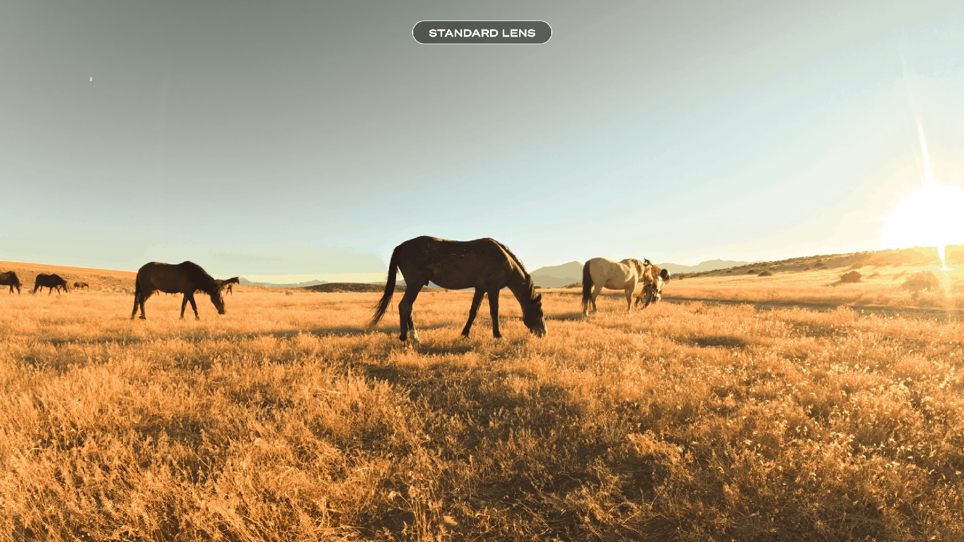 GoPro Anamorphic Lens Mod For GoPro HERO 13 Black by  in  - EC MALL