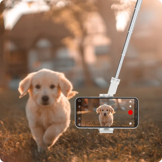 Hohem iSteady V3 Ai Tracking Smartphone Gimbal by  in  - EC MALL