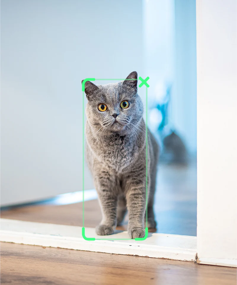 Hohem iSteady XE 3-Axis Smartphone Gimbal With Magnetic Fill Light by  in  - EC MALL