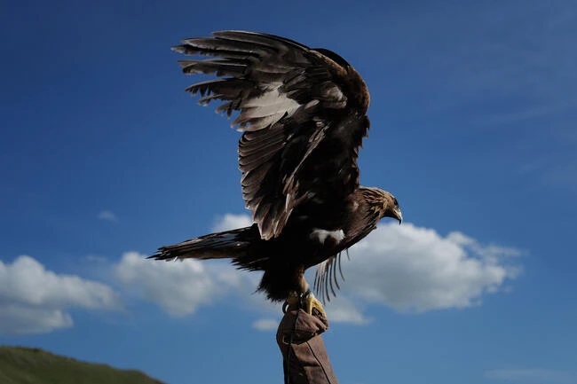 Leica Q3 43 Digital Camera (APO-Summicron 43mm f/2 ASPH Lens) by  in  - EC MALL