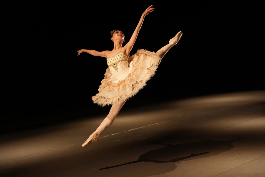 Sony FE 28-70mm f/2 GM Lens SEL2870GM by  in  - EC MALL