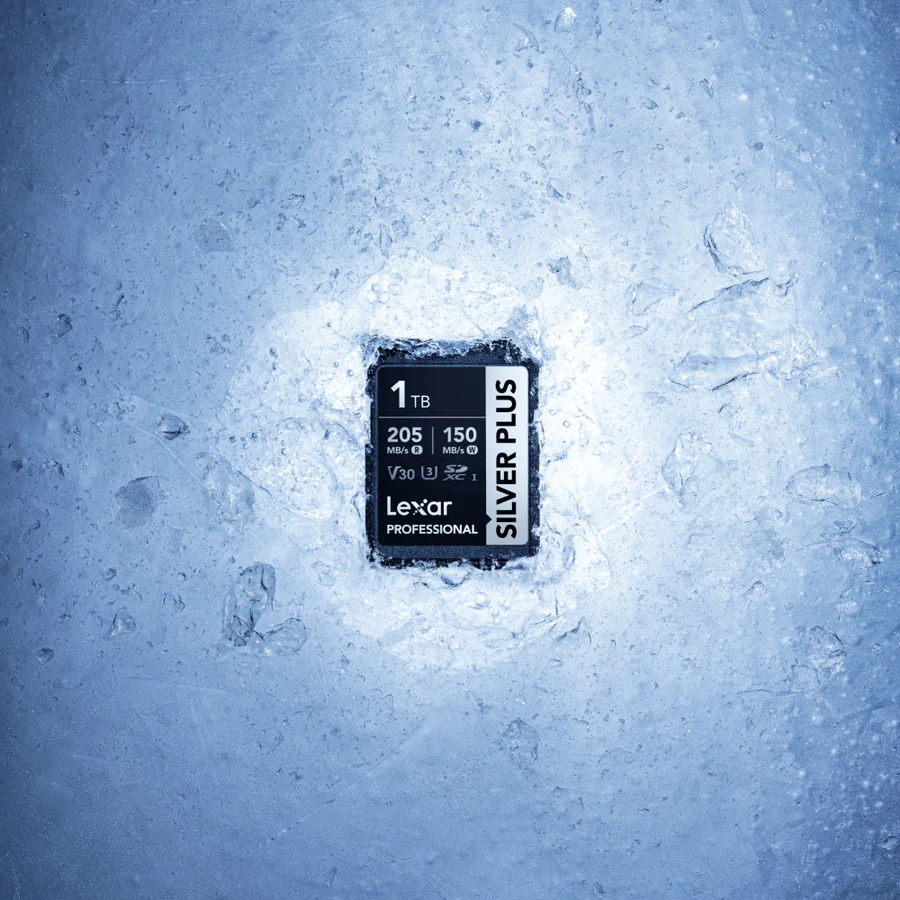 Lexar Professional SILVER PLUS SDXC UHS-I V30 by  in  - EC MALL