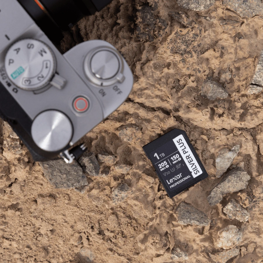 Lexar Professional SILVER PLUS SDXC UHS-I V30 by  in  - EC MALL