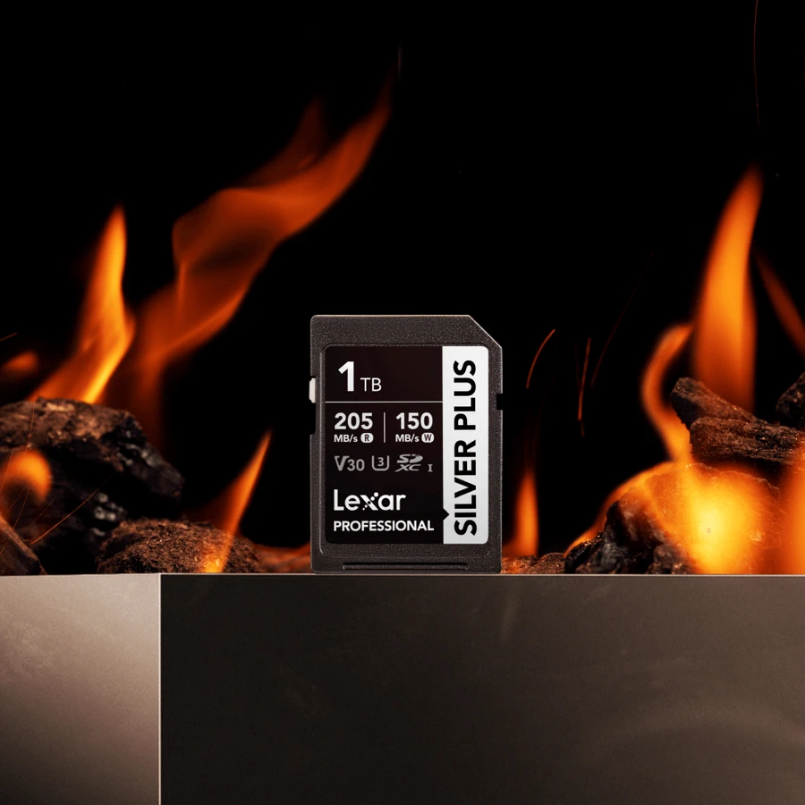 Lexar Professional SILVER PLUS SDXC UHS-I V30 by  in  - EC MALL