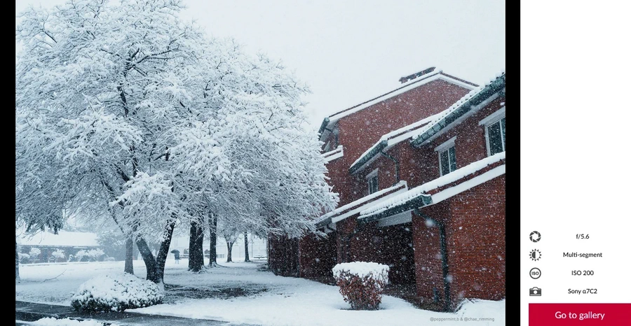 Samyang AF 35mm f/1.4 P FE Lens by  in  - EC MALL