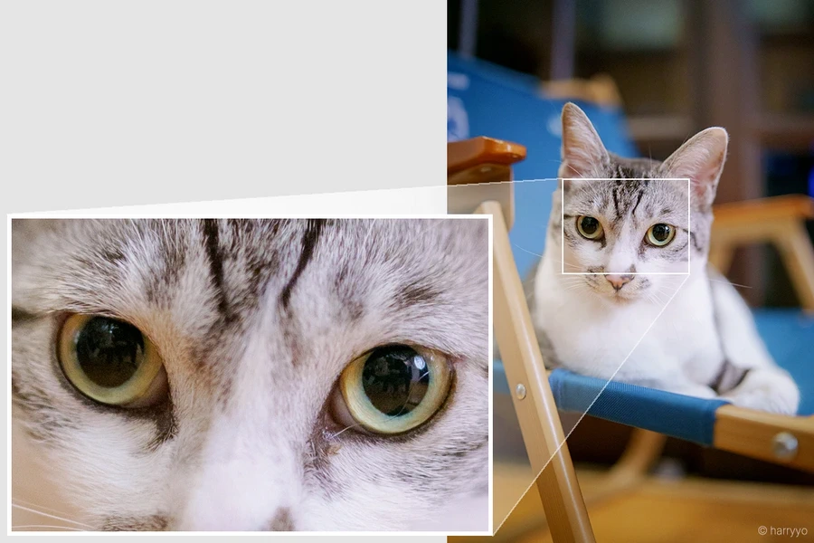 Samyang AF 35mm f/1.4 P FE Lens by  in  - EC MALL