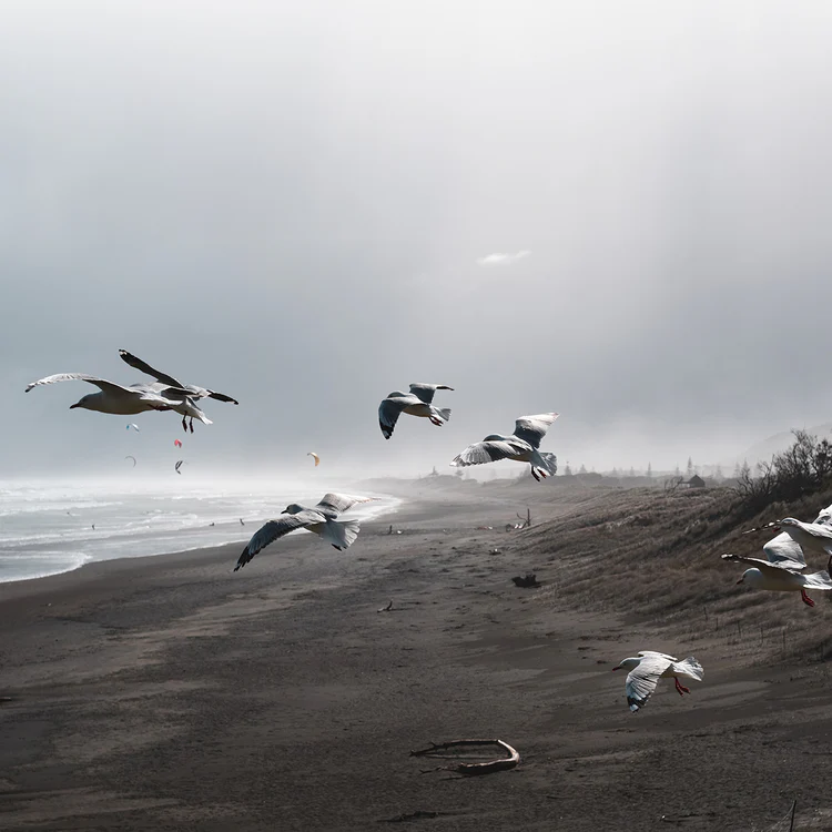 Viltrox AF 27mm f/1.2 Pro APS-C Lens For Sony E-Mount by  in  - EC MALL