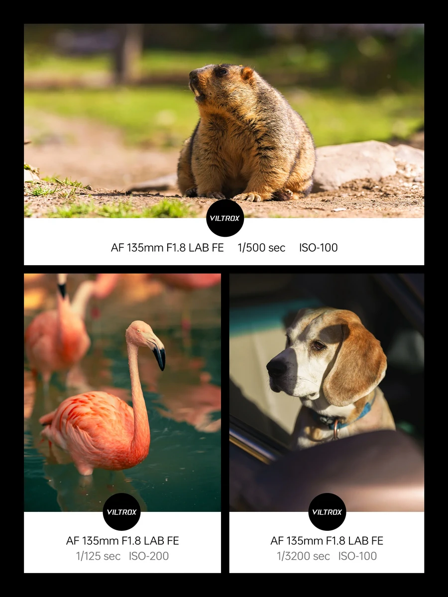 Viltrox AF 135mm f/1.8 LAB Full-Frame Lens by  in  - EC MALL