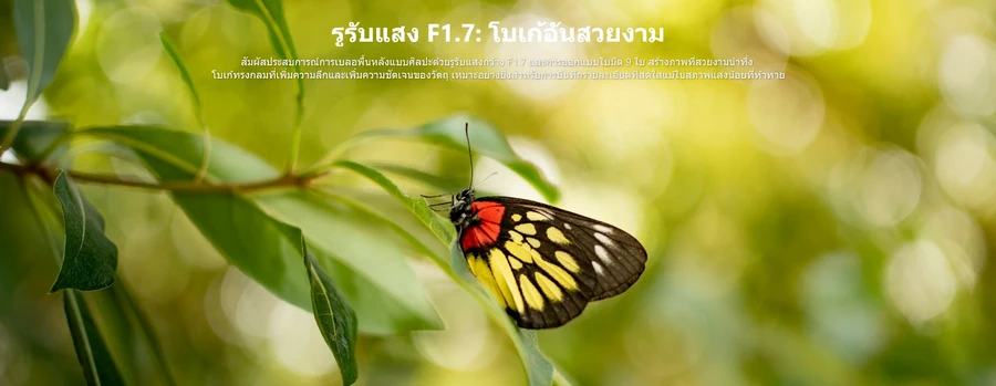 Viltrox AF 35mm f/1.7 APS-C Air Lens For Sony E-Mount by  in  - EC MALL