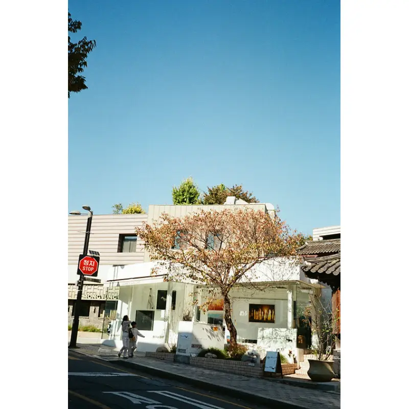 YASHICA Single Use Film Camera (My Melody Berry Bliss) by  in  - EC MALL