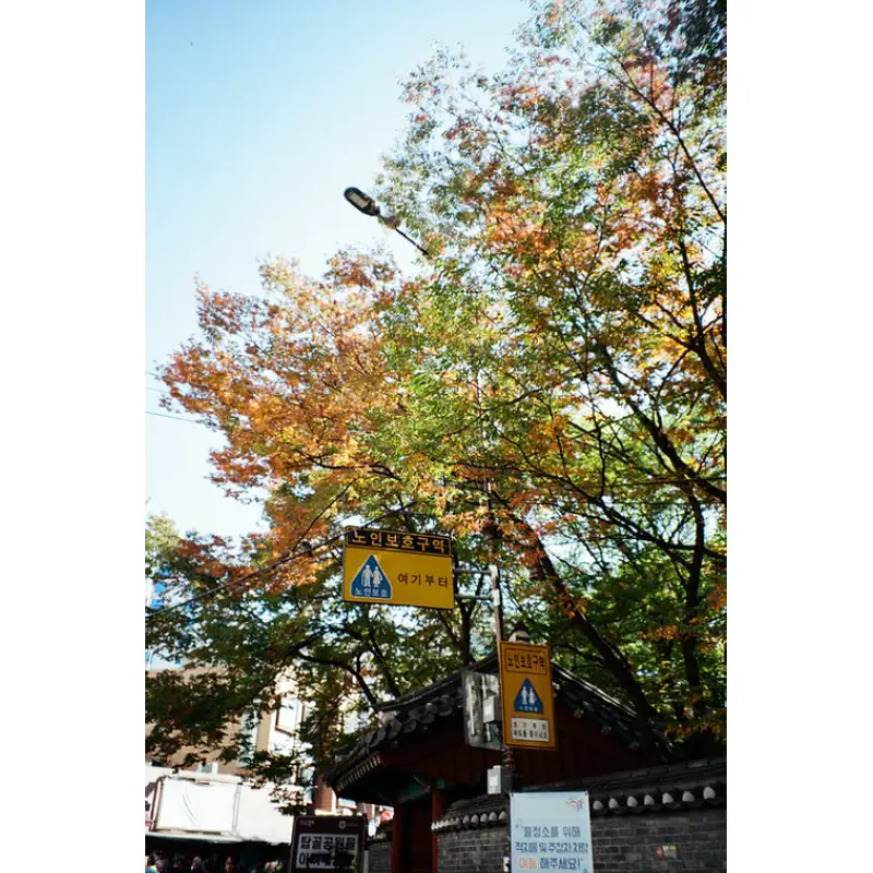 YASHICA Single Use Film Camera (My Melody Berry Bliss) by  in  - EC MALL