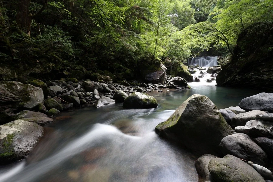 Canon RF 16-28mm f/2.8 IS STM Lens by  in  - EC MALL