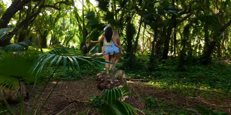 DJI Flip Drone by  in  - EC MALL