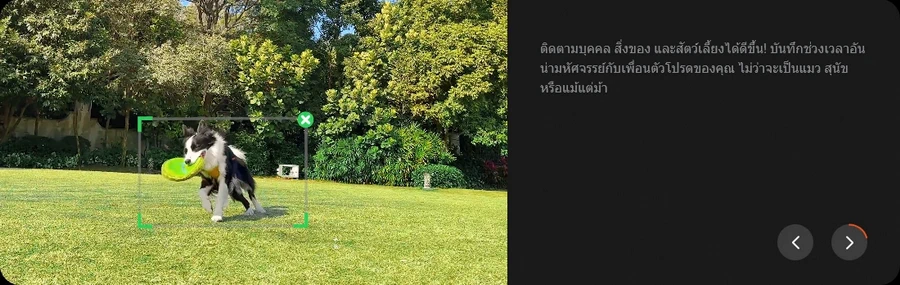 Insta360 Flow 2 Pro Creator by  in  - EC MALL