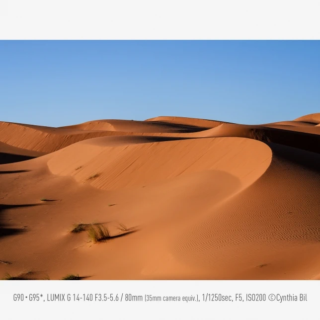 Panasonic Lumix DC-G97 by  in  - EC MALL