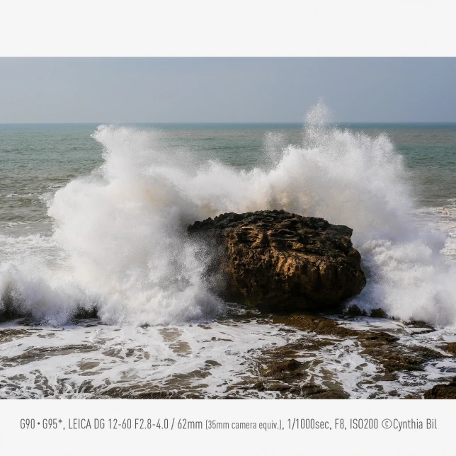 Panasonic Lumix DC-G97 by  in  - EC MALL