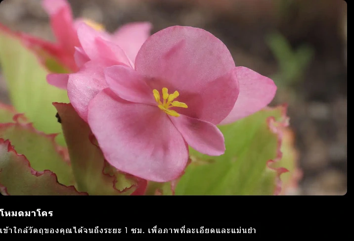 Nikon COOLPIX P1100 by  in  - EC MALL