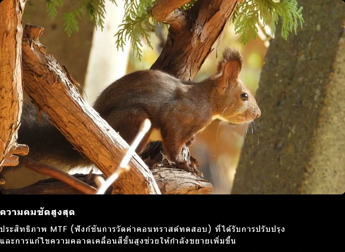 Nikon COOLPIX P1100 by  in  - EC MALL