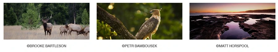 OM System OM-1 Mark II Mirrorless Camera by  in  - EC MALL