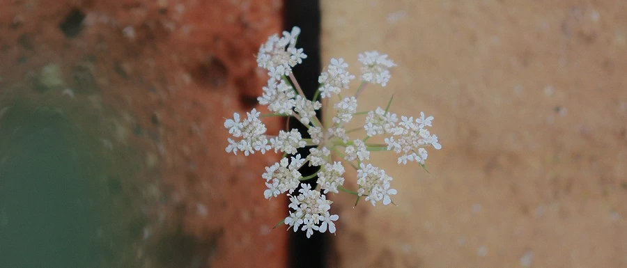 OM System OM-3 Mirrorless Camera by  in  - EC MALL