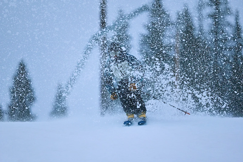 Sigma 300-600mm f/4 DG OS (S) Lens by  in  - EC MALL