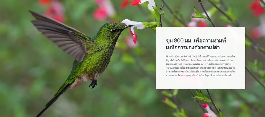 Sony FE 400-800mm f/6.3-8 G OSS Lens by  in  - EC MALL