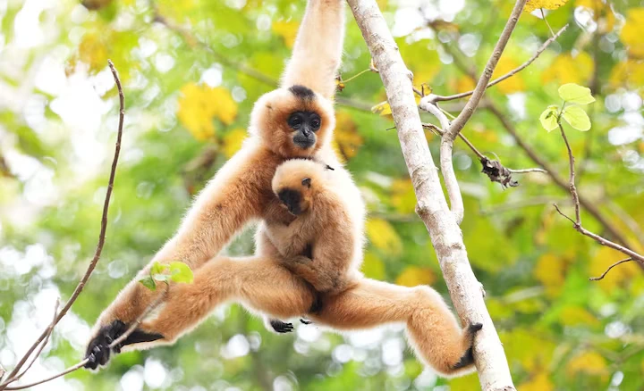 Sony FE 400-800mm f/6.3-8 G OSS Lens by  in  - EC MALL