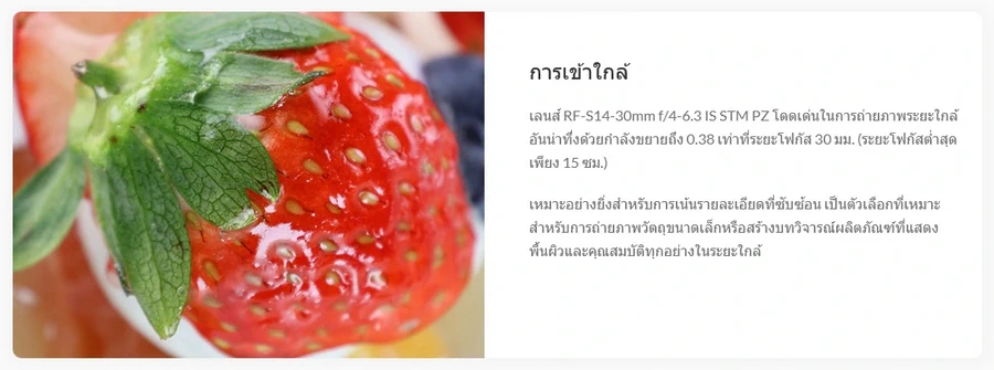 Canon RF-S 14-30mm f/4-6.3 IS STM PZ Lens by  in  - EC MALL