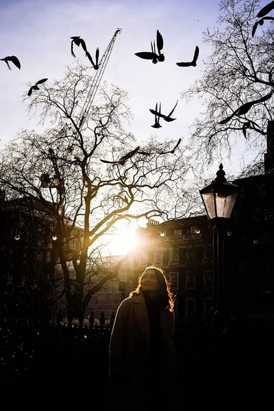 Nikon Z5 II Mirrorless Camera by  in  - EC MALL