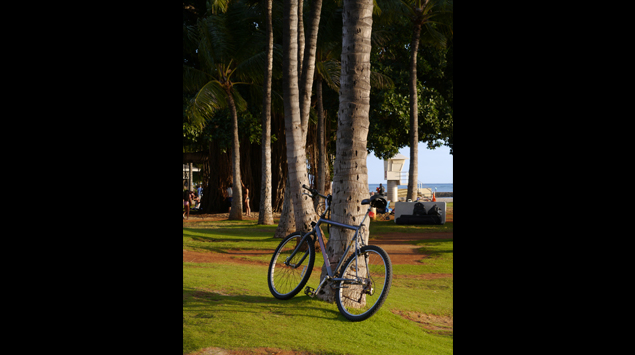 Panasonic Lumix G X Vario PZ 45-175mm f/4-5.6 ASPH. POWER O.I.S. by  in  - EC MALL